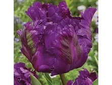 ������� ���������� ���-����� ��-���� ���. ����.jpg