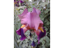 2017-06-16 19.06.28.jpg