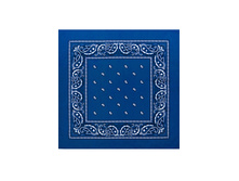 45 ���. - Paisley Acrylic 55�55 ��