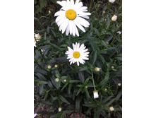 ������������.