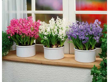 �������� ���� �ݣ 2.jpg