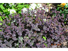 ������. ���� 2 ��������� ���������