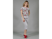 8.1173 ������ ������� ��������� No5