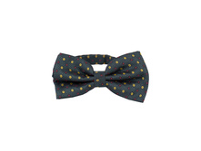 145 ���. - ������ �����