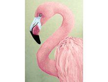 ������� �������� 27�38 Ag 2239.jpg