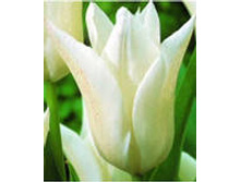 �������� ������������ ��-�� ����-������ 111,3 ���. ��. (� �������� 7 ��.). ������ �� 60 ��. ������� ������ �� 12 ��. .jpg