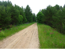 ������ � ��� ���������