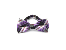 145 ���. - ��������� ������