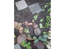 2017-06-03 18.42.50.jpg