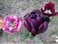 2016-05-16 16.23.19.jpg