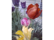 2016-05-08 19.57.58.jpg