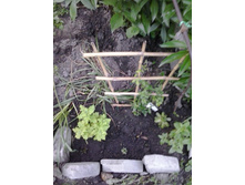 2017-06-09 20.07.59.jpg