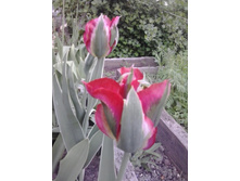 2016-05-11 18.09.46.jpg