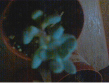 ��������� ����������