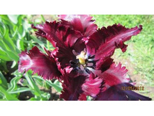 ������� ���������� ���-� ���-��� ���. ����3..jpg