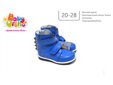 ������ No16 ������� 6,  1770�