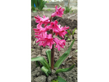 IMG 20170506 093029.jpg