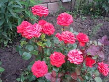20170714 104625.jpg