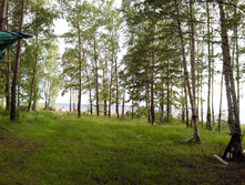 IMG 20170622 184021.jpg