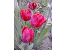 2017-05-22 18.06.38.jpg