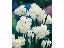 ���-���� �������������� ��-��-��� 90 ���. ��. (� �������� 3 ��.). ������ �� 40 ��. ������� ������� �� 7 ��. ������ �� �������!!!!!!!!!!!!!.jpg