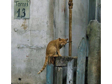 ��� ����� �������? �� ���, �� ����� ...