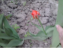 2016-05-16 16.22.33.jpg