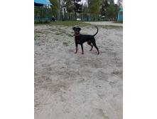 2017-05-18 19-57-45.JPG