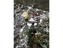 2015-10-08 15.25.40.jpg