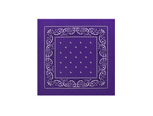 45 ���. - Paisley Acrylic 55�55 ��