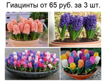 �������� � �������.JPG