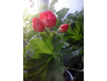 2016-05-26 16.39.02.jpg