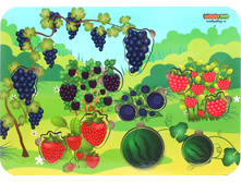 ������� "�����" �������: 011602 - 129 ���.