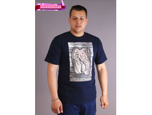 ��0026, 250���, 42-56��.