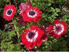 ���-��-�� ���-���-�� 59 ���. ��. ) � �������� 10 ��.). ������ �� 40 ��. ������� ������ 8 ��.jpg