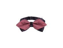 145 ���. - ��������� �����̣�