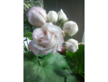 2016-06-02 14.00.50.jpg