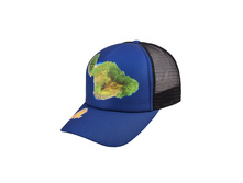 145 ���. - ������������ ������