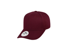 345 ���. - 202-6-1-001-079� �������������� ��������� � ����������� ���ԣ