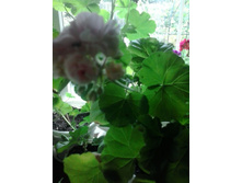 2016-06-02 14.04.04.jpg