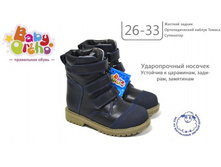 ������ No20 ����� 7,  2430�