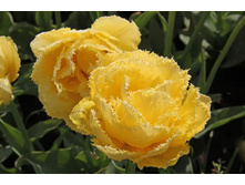 �������� �������� ������ ��-� ��-�� ���. ����.jpg