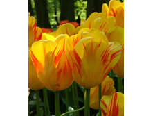 �������� ��������� ������� ���-���� ��-��� ���. ����.jpg