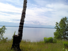 IMG 20170625 141856.jpg