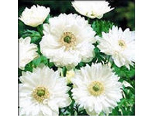 ���-��-�� ���-�� ���-���� 59 ���. ��. ) � �������� 10 ��.). ������ 30 ��. ������� ������ 8 ��.jpg