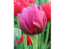 �������� �������� ������� ��-����� 118,3 ���. ��. (� �������� 7 ��.). ������ �� 60 ��. ������� ������ �� 10 ��..jpg