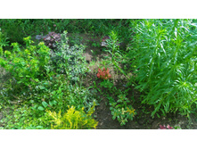 P 20170702 143449.jpg