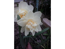 2017-05-16 17.48.13.jpg