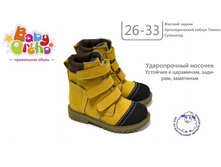 ������ No20 ����� 2,  2430�