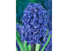 ��-���-�� ��-��. 85,5 ���. ��. (� �������� 3 �.). ������ �� 25 ��. ������� ������ 4 ��..jpg